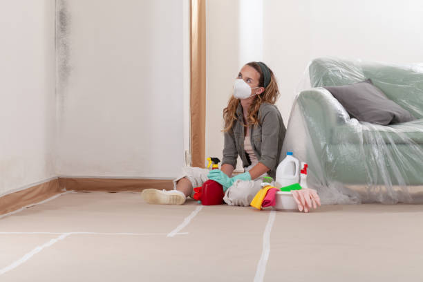 Reliable Black Mold Remediation contractor in Windsor, NJ by Mold Remediation HQ